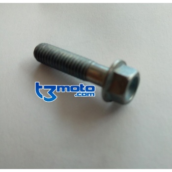 Tornillo TH EP M6 X 25